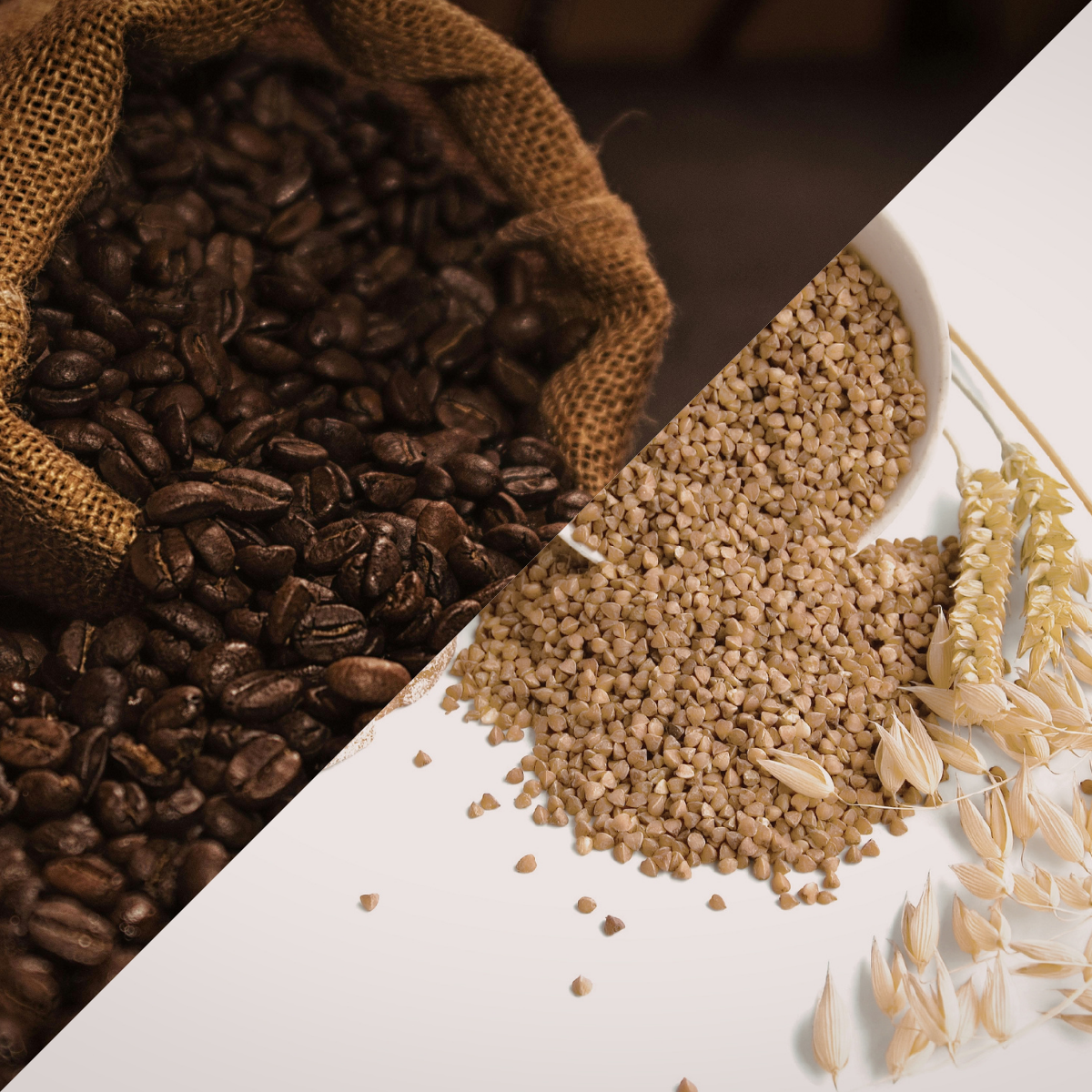 Kawa zbożowa i kawa ziarnista
