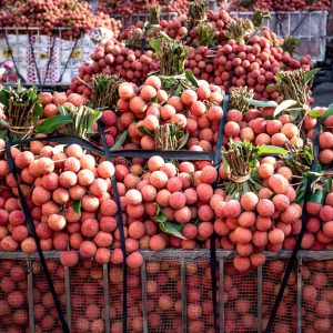 Abundant fresh lychee bunches at an outdoor market ready for sale.