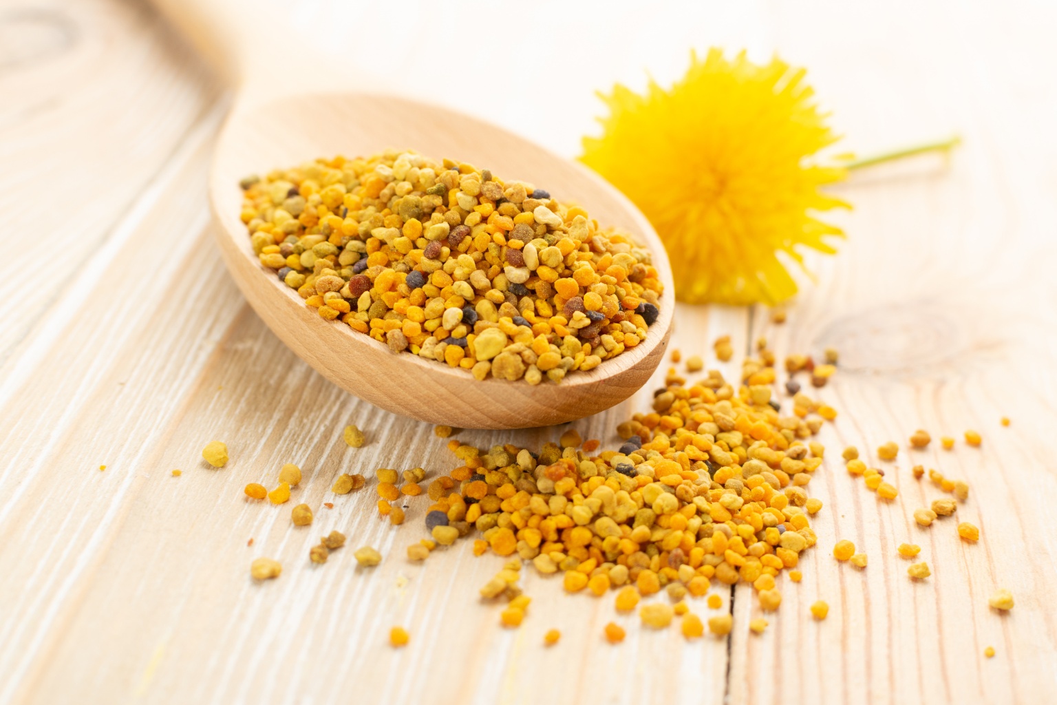 Drewniana łyżka pełna pszczelego pyłku