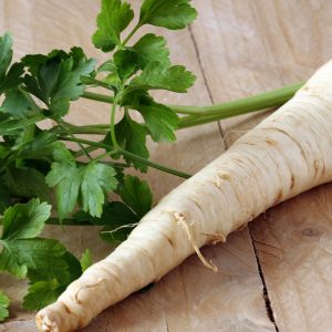 Korzeń pietruszki oraz natka pietruszki na drewnianym stole