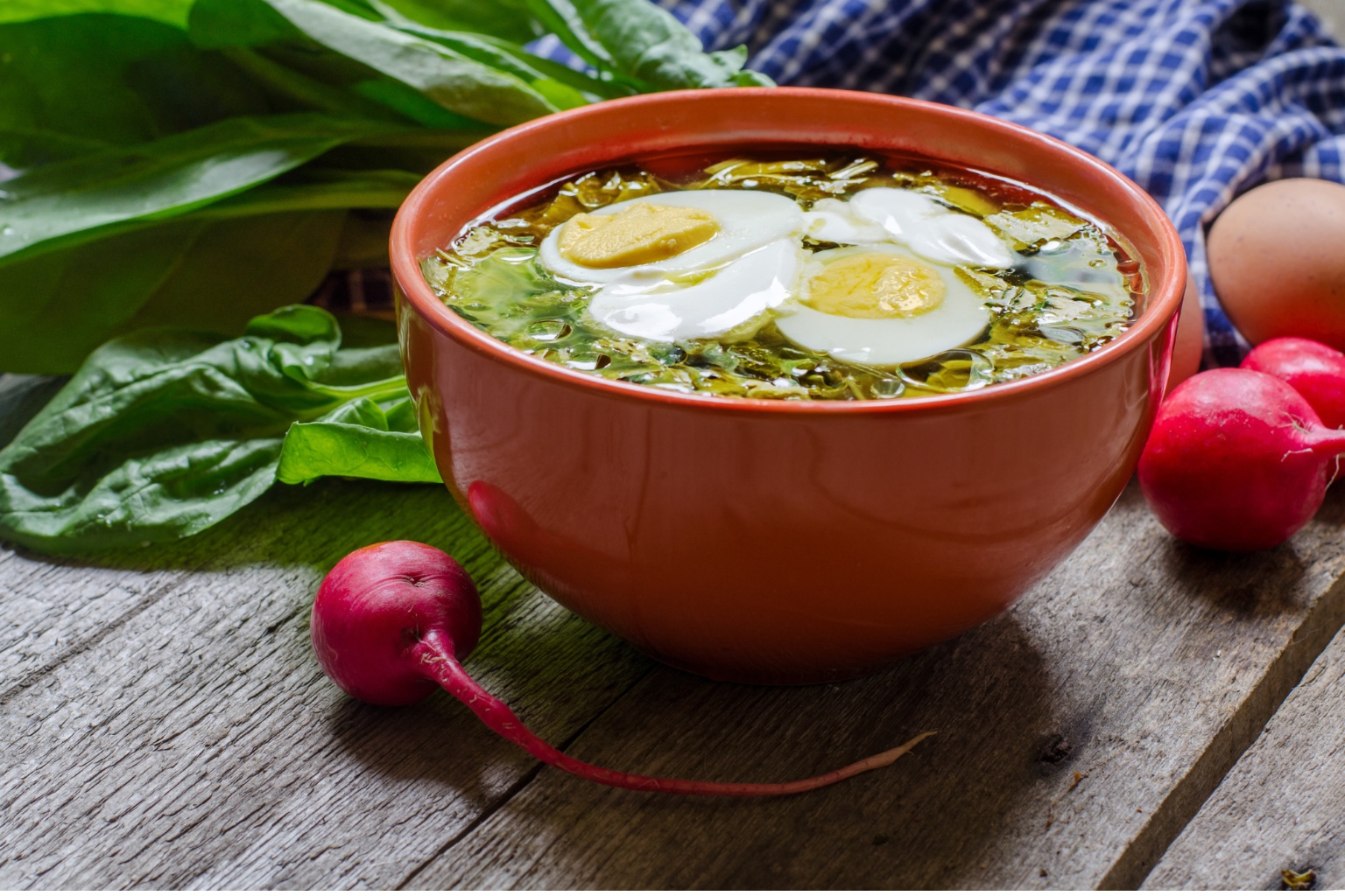 Zupa szczawiowa z jajkiem i rzodkiewką w pomarańczowej miseczce.