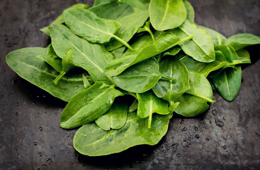 Liście młodego szczawiu na ciemnym blacie