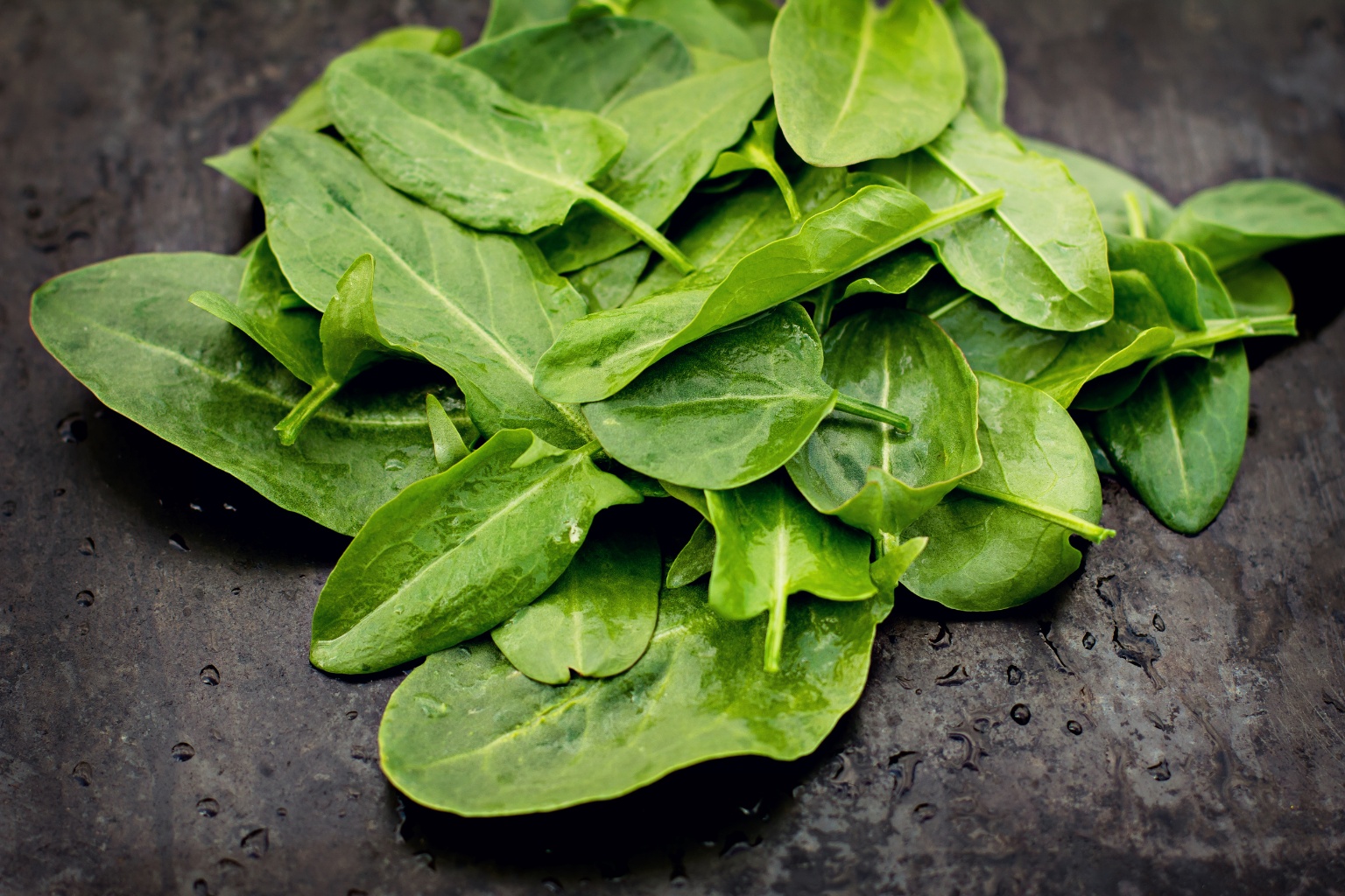 Liście młodego szczawiu na ciemnym blacie