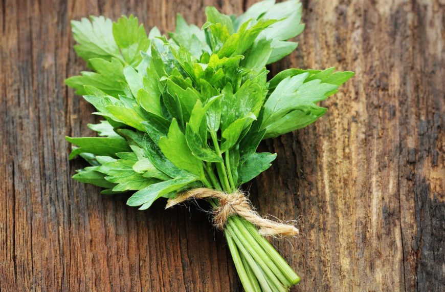 Świeży lubczyk na drewnianym blacie