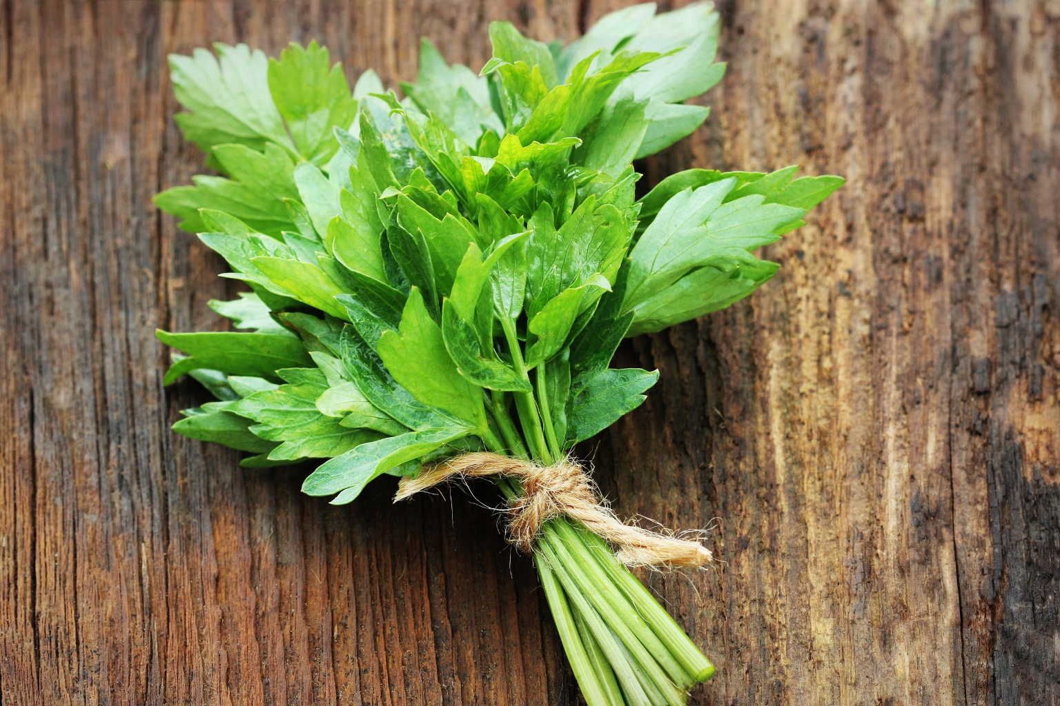 Świeży lubczyk na drewnianym blacie