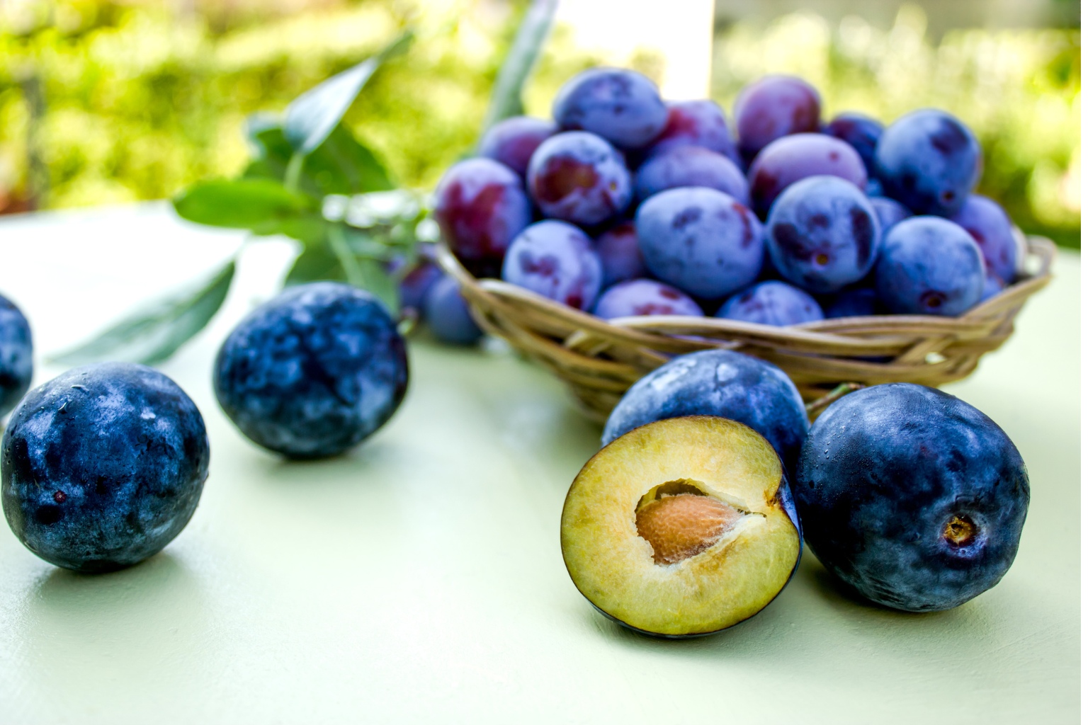 Śliwki prosto z sadu w wiklinowym koszu