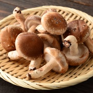 grzyby shiitake