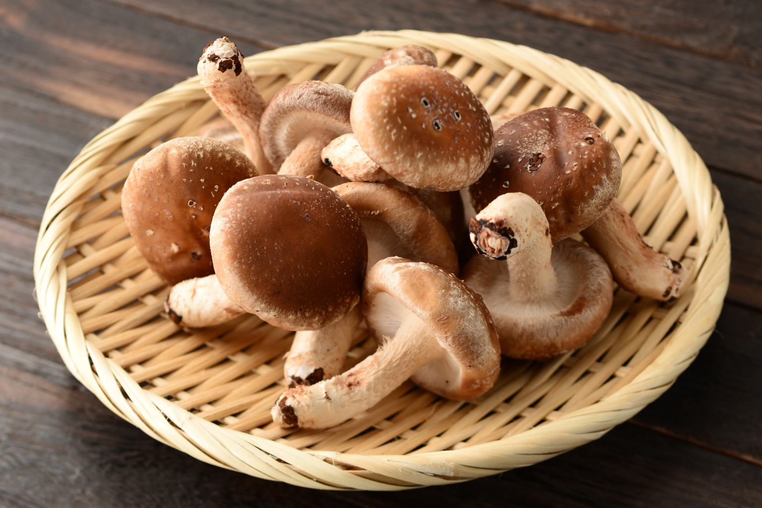 grzyby shiitake