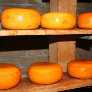 Bloki sera cheddar na półce drewnianej