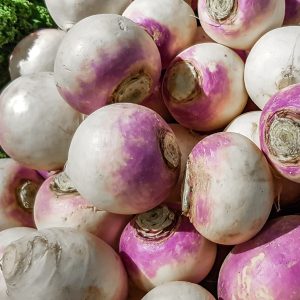 brukiew tuż po zbiorach gotowa do wykorzystania