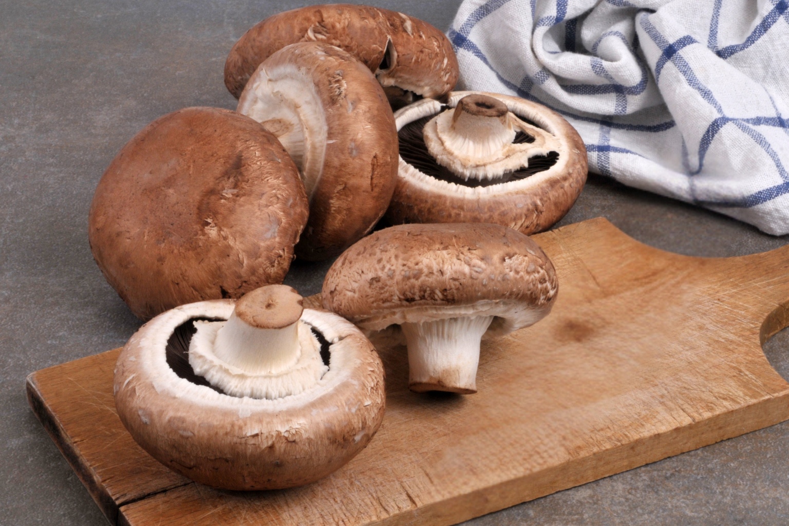 pieczarka portobello